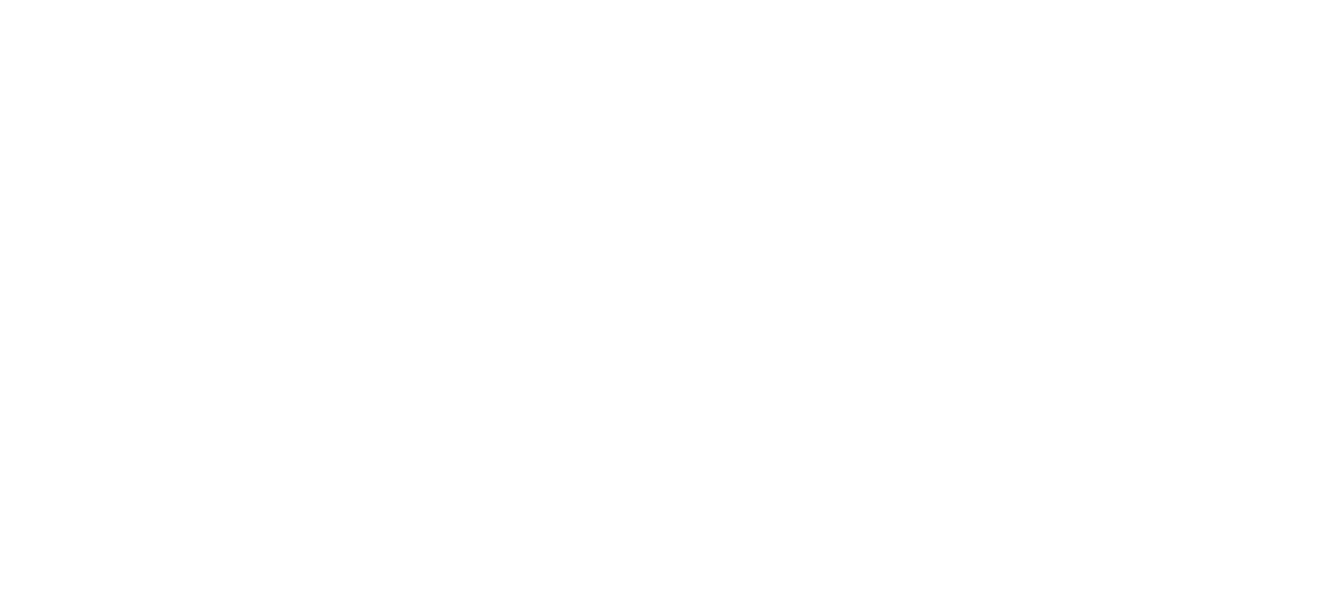 E.C.E Elektronik