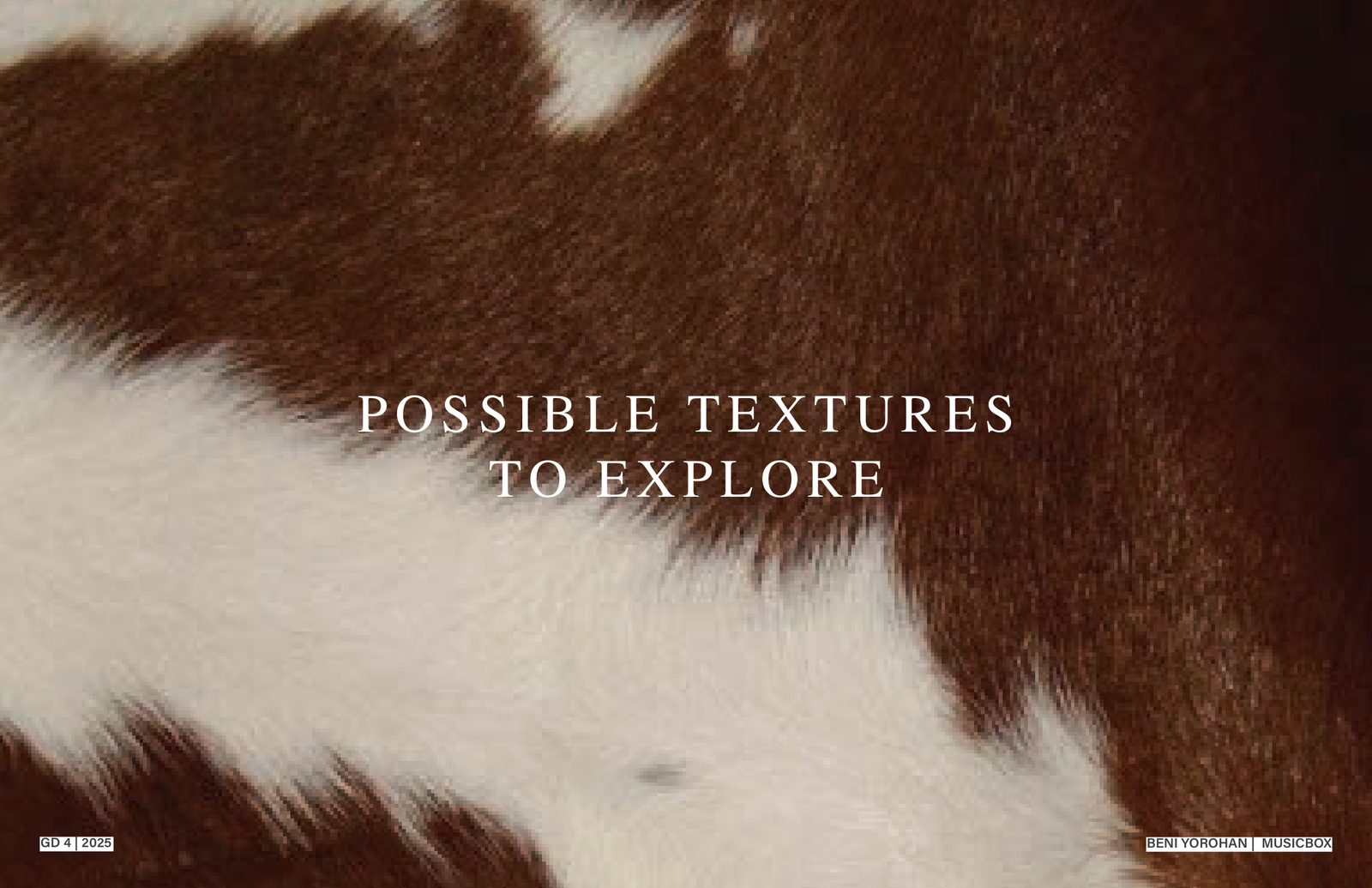 Possible textures to explore — leather