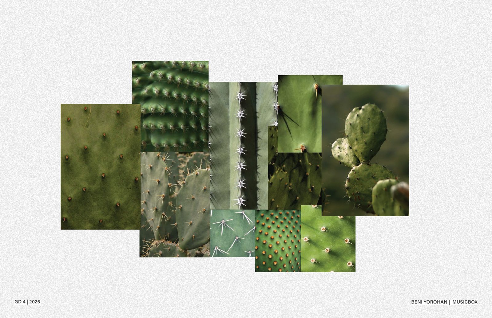 Texture study — green and nature tones