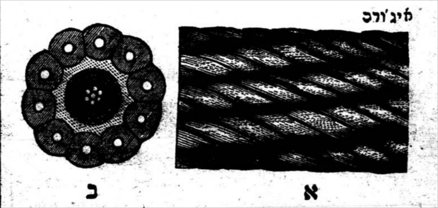 Printing ornament and alef-bet detail from the Ladino press
