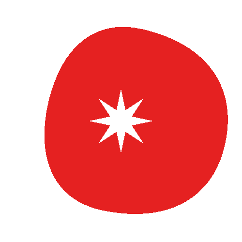 Matos Organic Tomato Juice