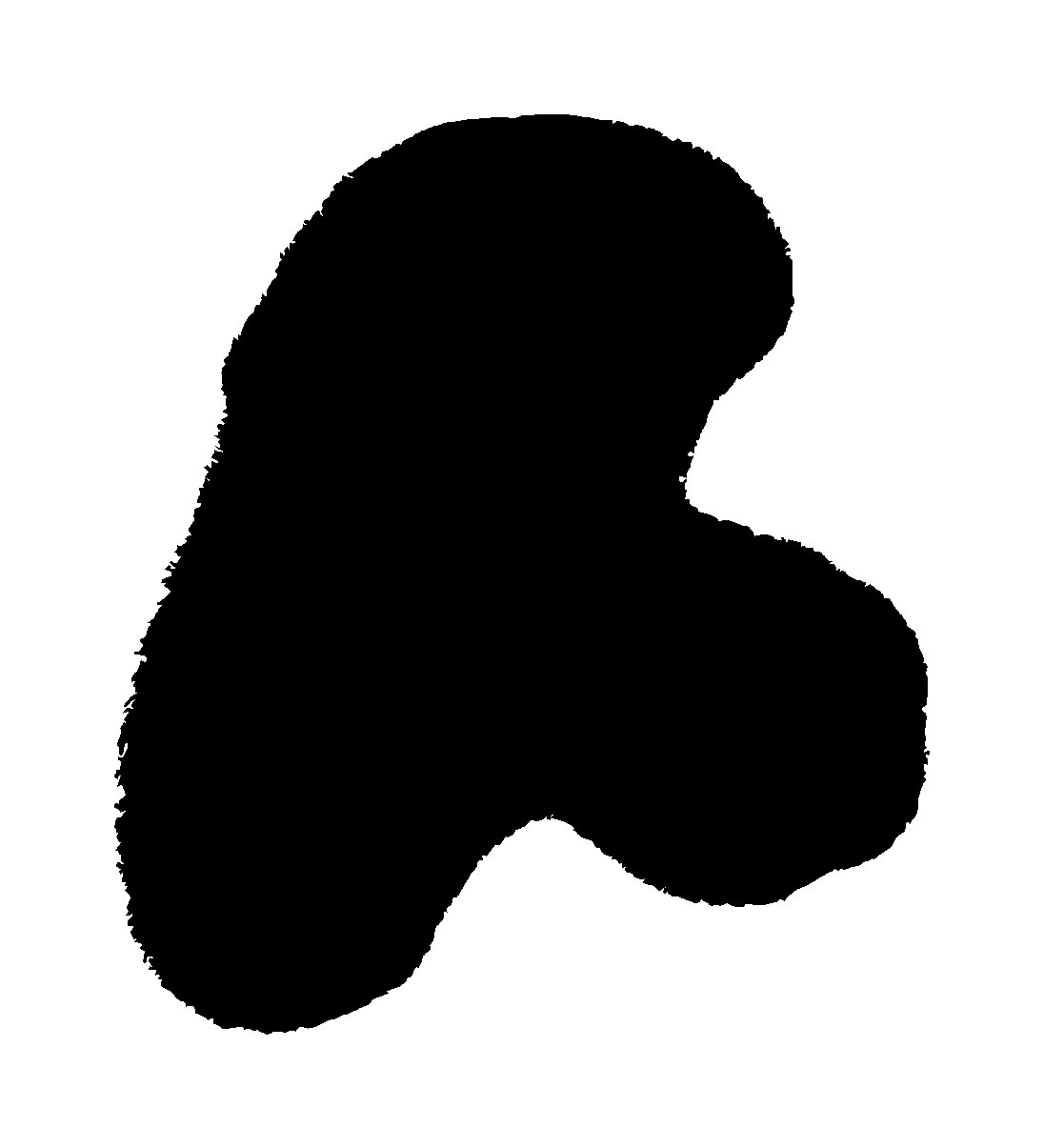 Scan of the hand-cut paper R, black on white