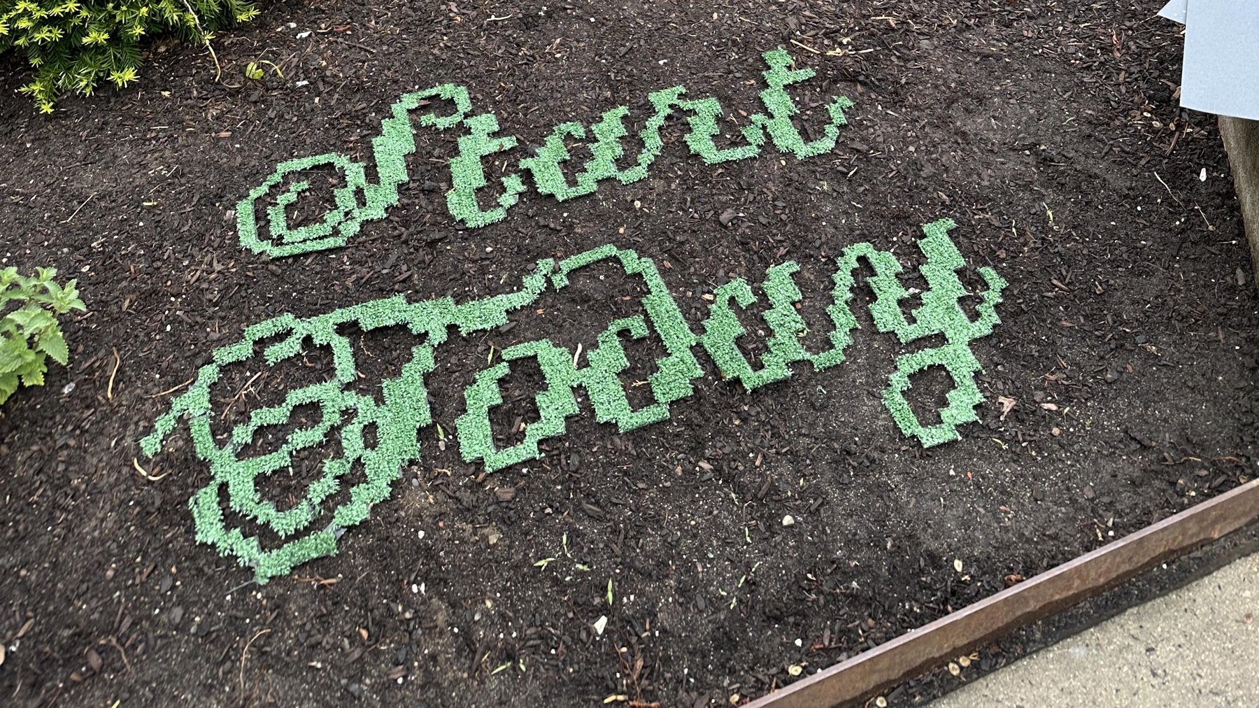 Start Today — final outdoor type installation in green turf